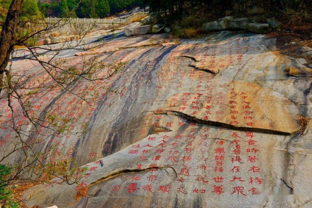 探秘影子猎人之血灵契约比老九门好看吗,分享智慧交流之地